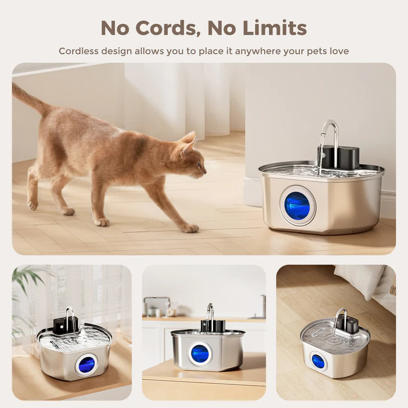 Stainless Steel Powered Cat Water Fountain